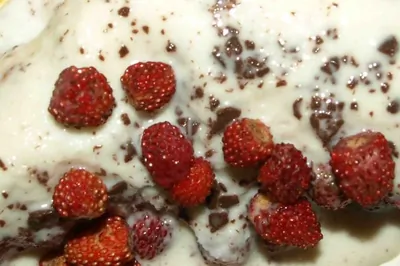 Семифредо с земляникой и шоколадом