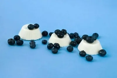 Кокосовая панна-котта (Веганская версия)