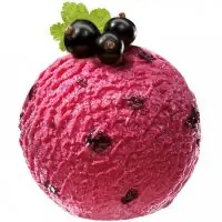 Черносмородиновый сорбет