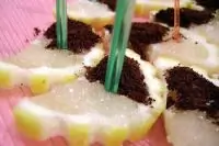 Лимонные ломтики с кофе