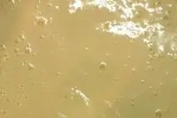 Суп-пюре из картофеля и куриной грудки