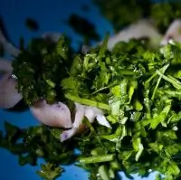 Сезонная летняя зелень с кальмаром