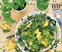 Паста с песто, кедровыми орешками и рукколой