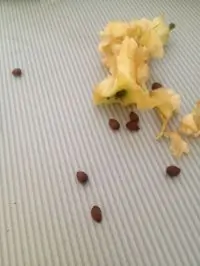 Вот что получилось из нашего рецепта - фото 1