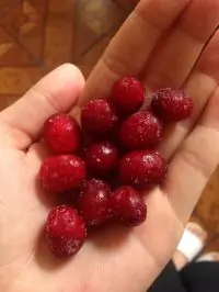 Вот что получилось из нашего рецепта - фото 1