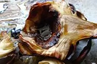 Вот что получилось из нашего рецепта - фото 1