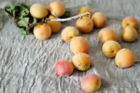 Вот что получилось из нашего рецепта - фото 2