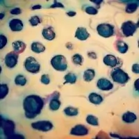 Вот что получилось из нашего рецепта - фото 3