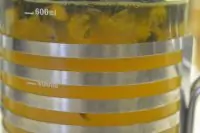 Вот что получилось из нашего рецепта - фото 4