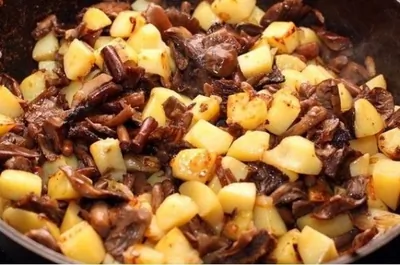 Картошка с опятами в сметане