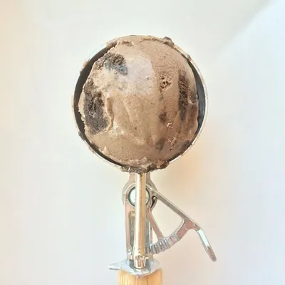 Замороженный йогурт с шоколадным печеньем