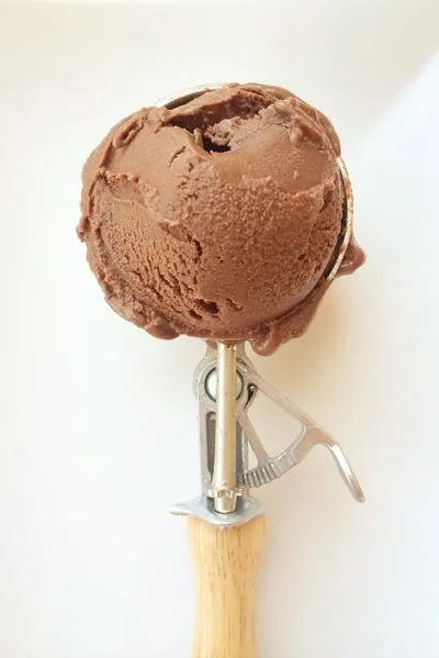 Соевое шоколадное мороженое