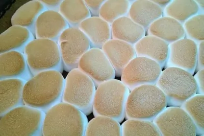 Торт «Жирафик»