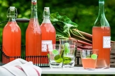 Сок из ревеня