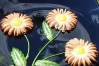 Жареные сосиски «Ромашки» с яйцом