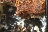 Тирамису без ликера