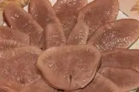 Говяжий язык в мультеварке