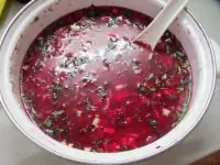 Свекольник летний