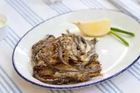 Битки из тюльки