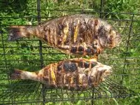 Дорада на гриле под быстрым маринадом из петрушки