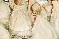 Вот что получилось из нашего рецепта - фото 2