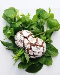 Вот что получилось из нашего рецепта - фото 3