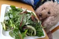 Вот что получилось из нашего рецепта - фото 2