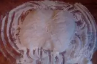 Вот что получилось из нашего рецепта - фото 4