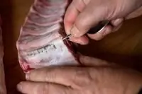 Вот что получилось из нашего рецепта - фото 1