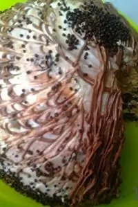 Вот что получилось из нашего рецепта - фото 1