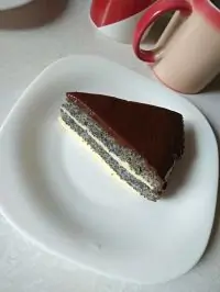 Вот что получилось из нашего рецепта - фото 2