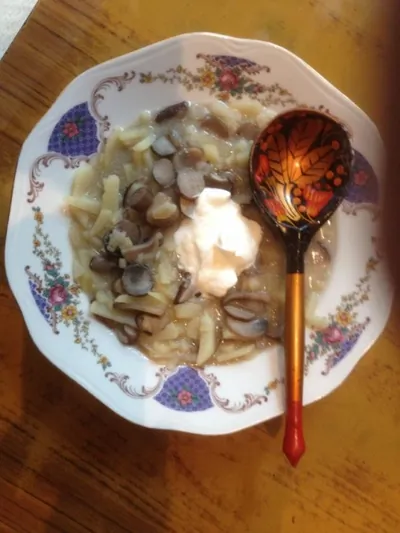 Солянка грибная