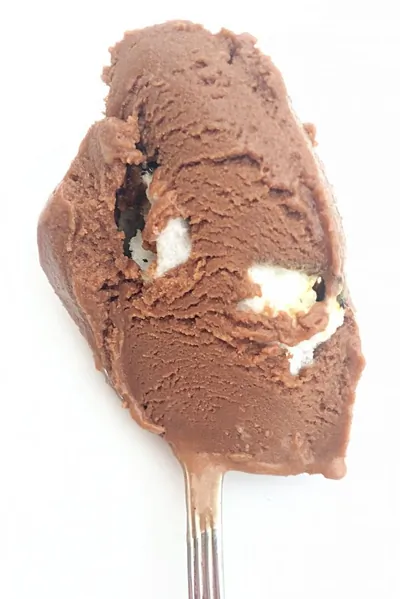 Шоколадное мороженое с опаленными маршмэллоу