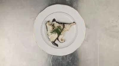 Зубатка в сливочном соусе