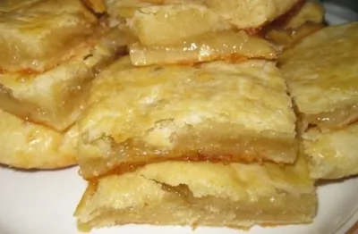 Лимонник на «скорую руку»