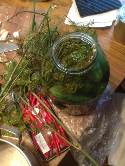 Соленые огурцы с эстрагоном и листьями