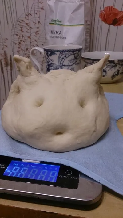 Тонкое тесто для пиццы с медом