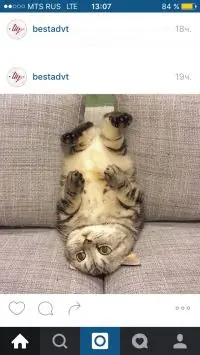 Вот что получилось из нашего рецепта - фото 1