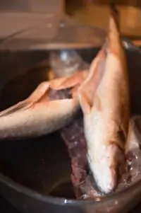 Вот что получилось из нашего рецепта - фото 2