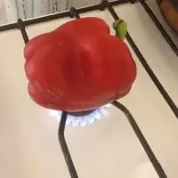 Вот что получилось из нашего рецепта - фото 1