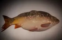 Вот что получилось из нашего рецепта - фото 1