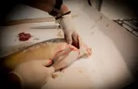 Вот что получилось из нашего рецепта - фото 2