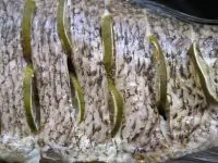 Вот что получилось из нашего рецепта - фото 2