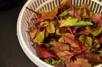 Вот что получилось из нашего рецепта - фото 2