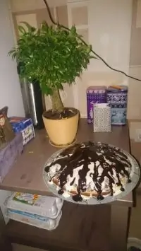 Торт «Панчо» по домашнему