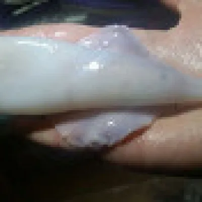 Кальмары тушеные в сливках с овощами