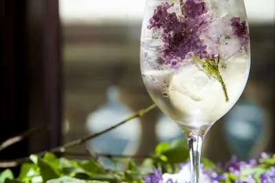 Сиреневая сангрия от шеф-бармена Mercedes bar Артема Аверина