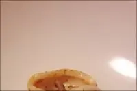 Кальмары со специями