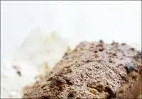 Ржаной хлеб с курагой