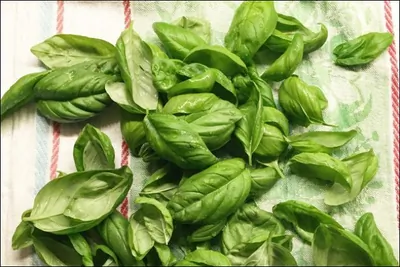 Генуэзский соус песто